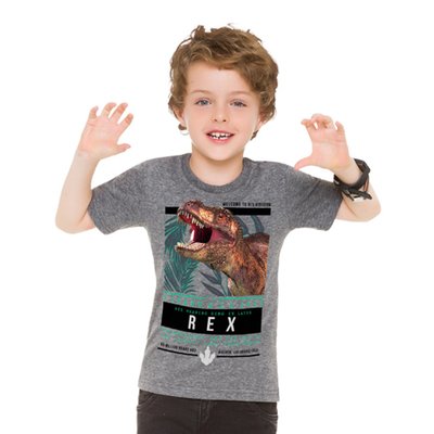 Camiseta Infantil Menino T-Rex Mescla - Brandili