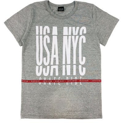 Camiseta Juvenil Menino New York City Mescla