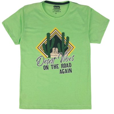Camiseta Juvenil Menino Desert Vibes Verde