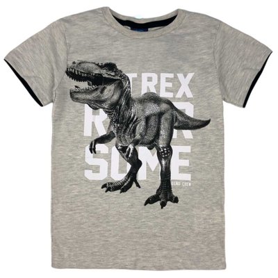 Camiseta Infantil Menino T-Rex Mescla